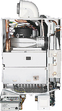 bx pt suprima he inner 1 (he70).gif